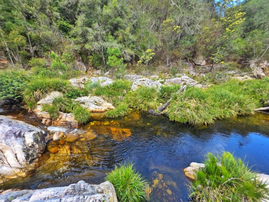 Commercial Property for Sale in Wilderness Heights Western Cape